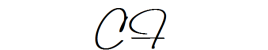 Couture Fashion Couture Fashion